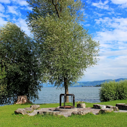 Campfire site with stones and trees by a lake under a blue sky