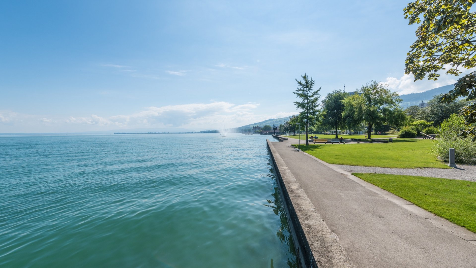 Lakeside promenade with trees and blue water on a sunny day