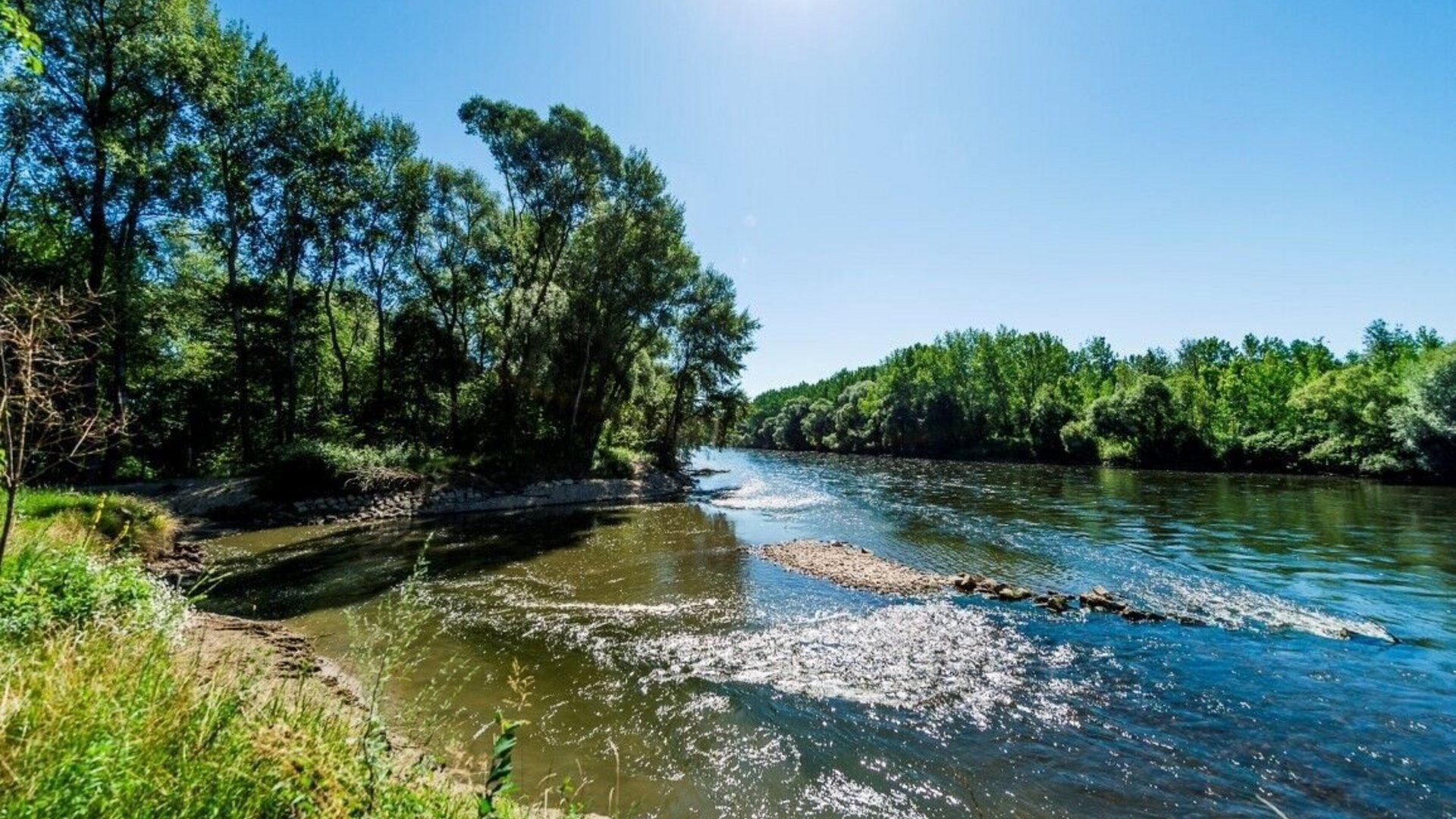 River with clear sky and green trees on both banks