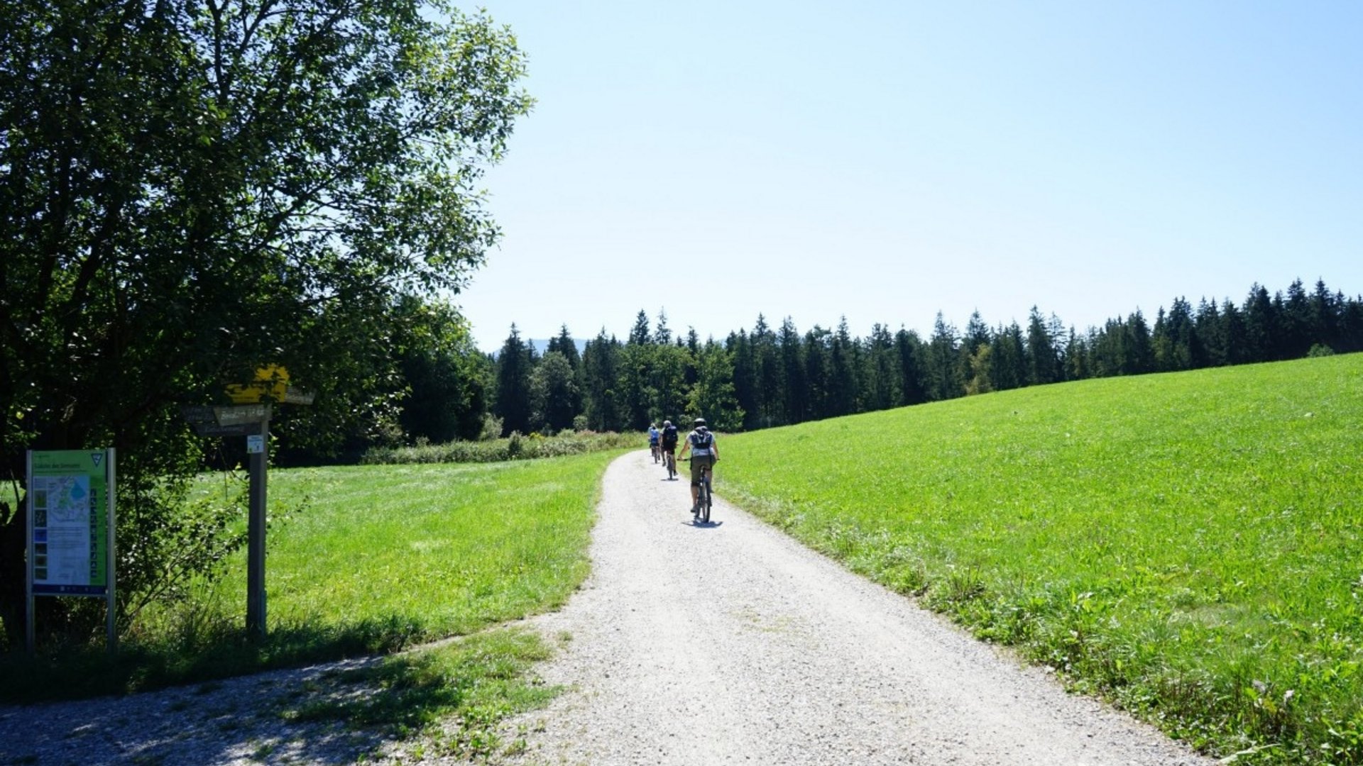 Three cyclists riding on a path between fields and trees on a sunny day