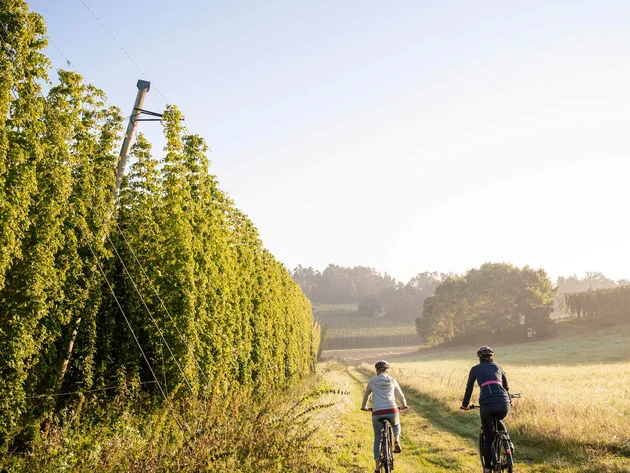 Zwei Radfahrer fahren auf einem Feldweg entlang grüner Pflanzen im Sonnenlicht