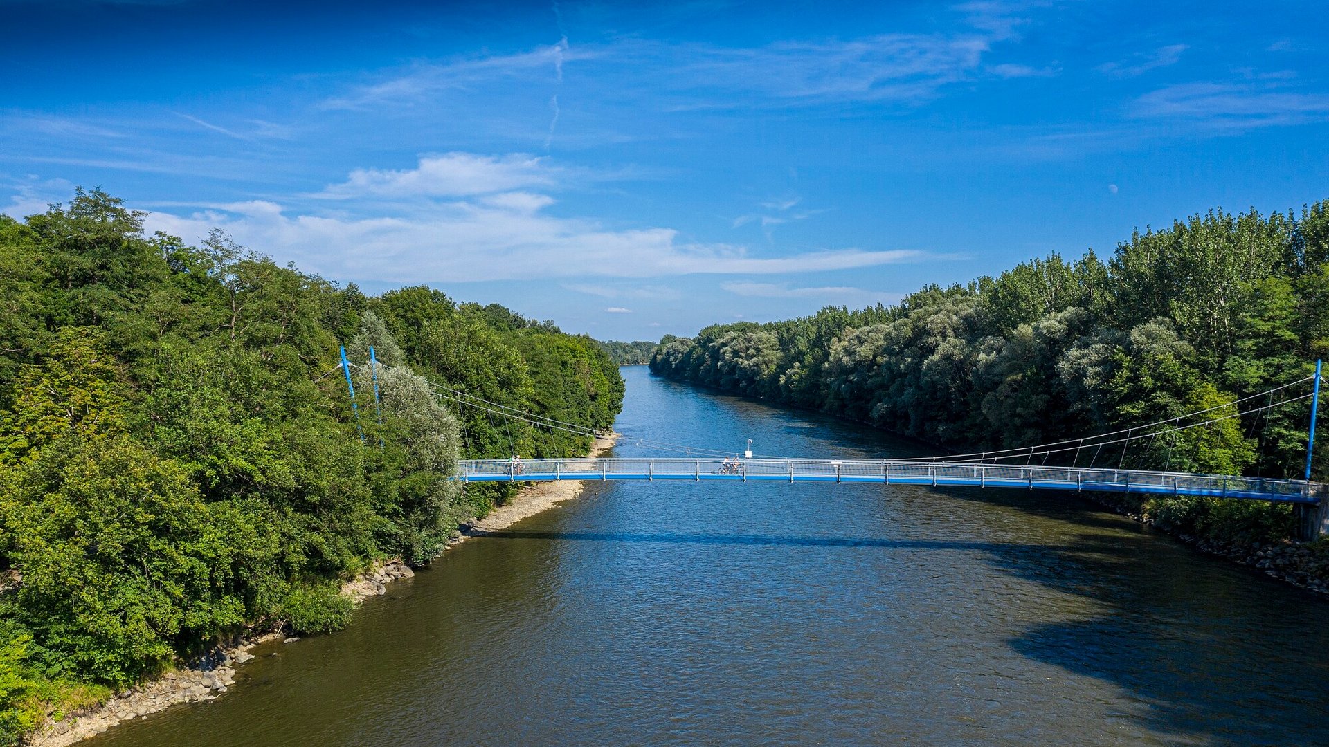 Pedestrian and bike bridge over calm river with tree-lined banks
