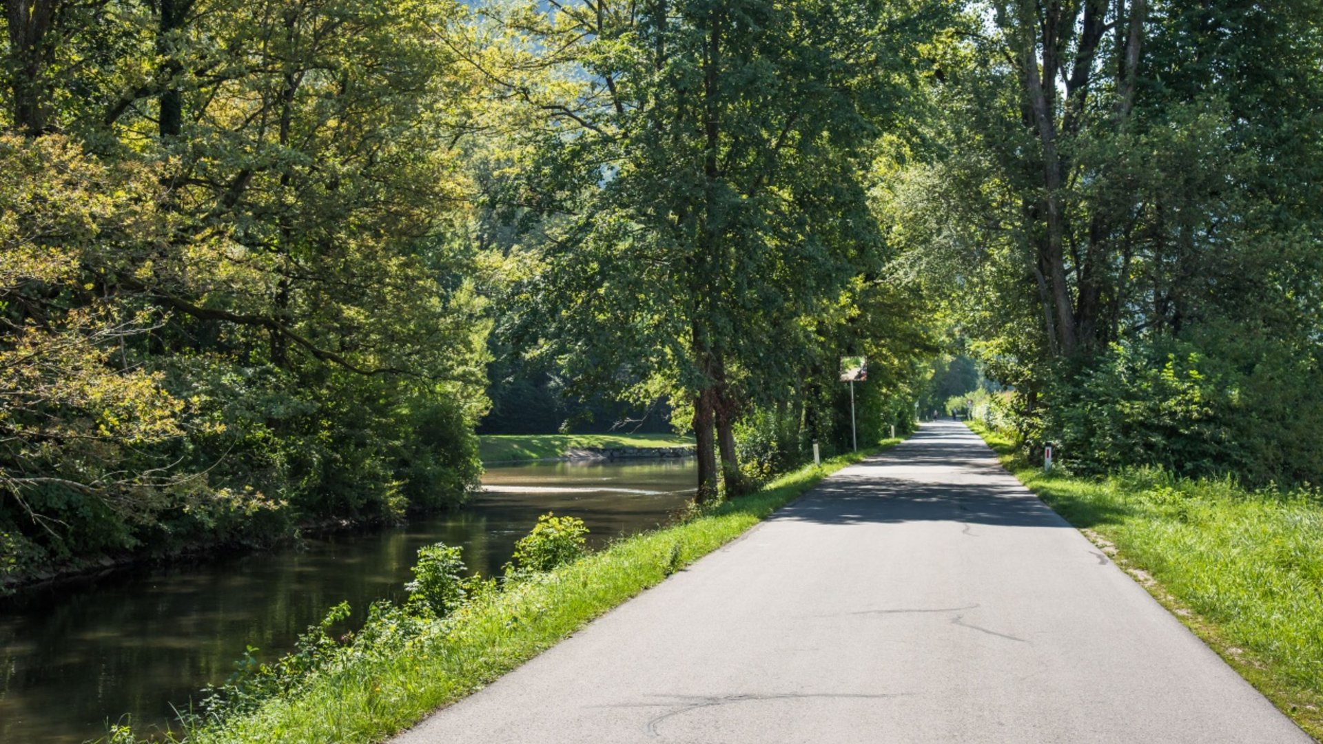 Paved pathway beside a river with trees in sunlight
