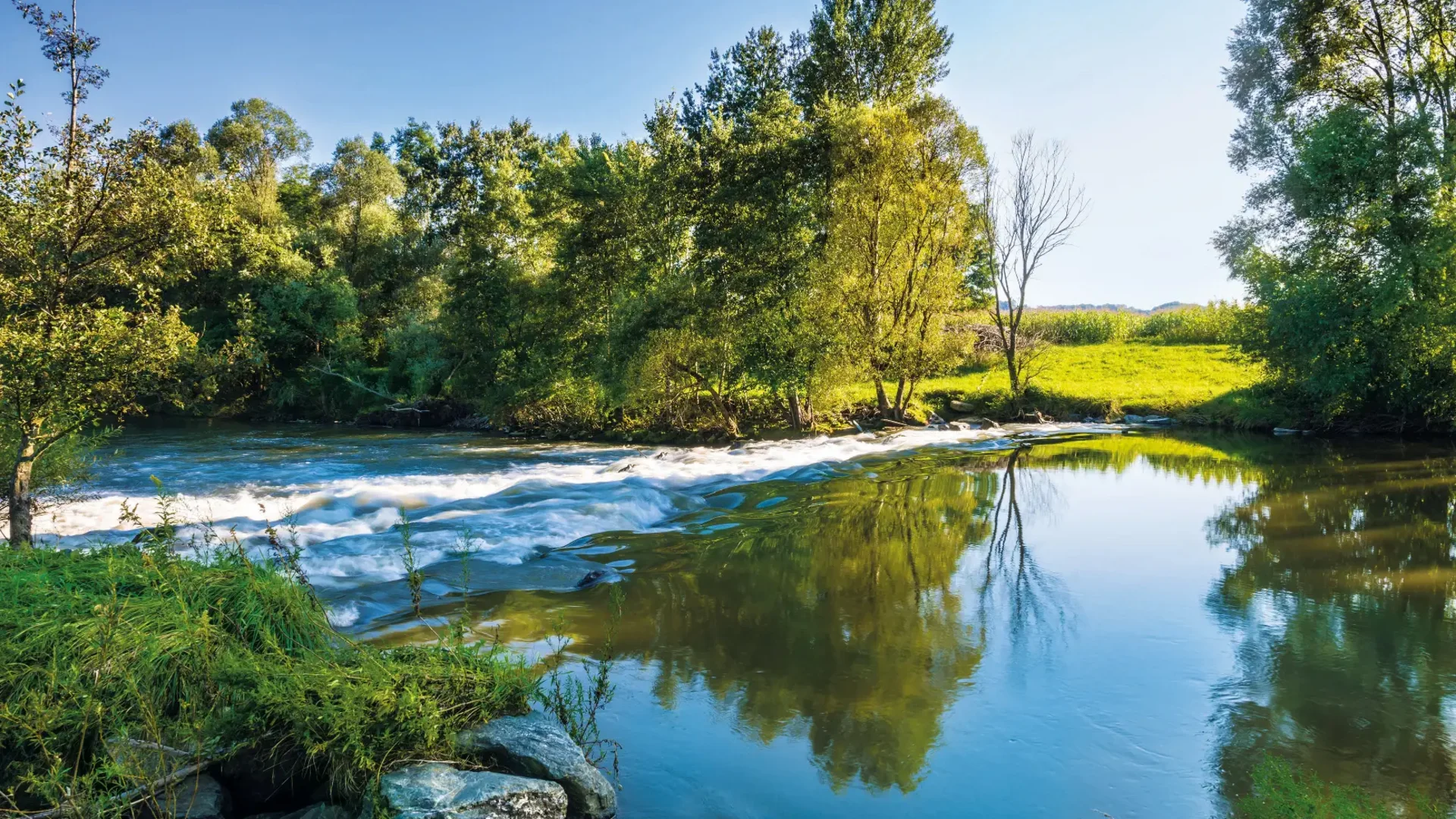 Fluss mit Bäumen und Gras an einem sonnigen Tag