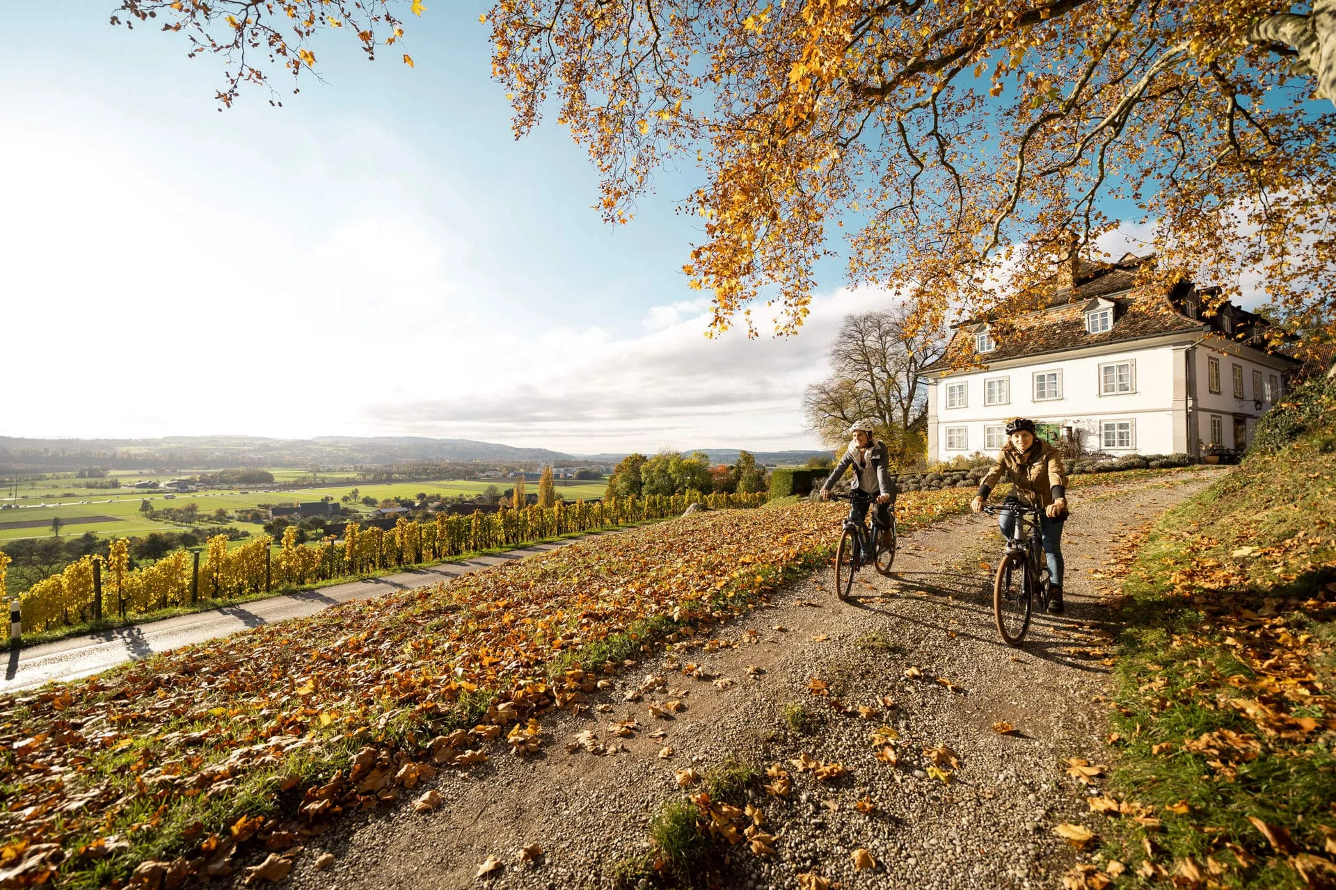 Zwei Personen radeln im Herbst an einem Haus und bunten Weinbergen vorbei