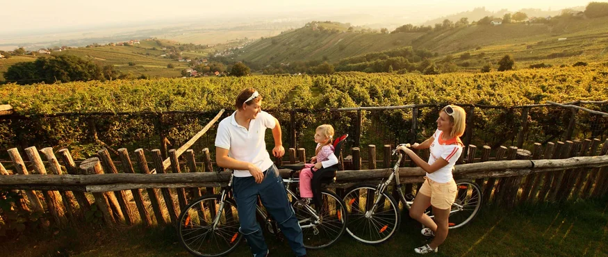Familie met fietsen voor wijngaarden bij zonsondergang