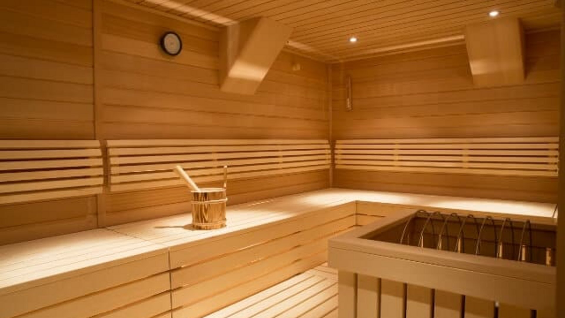 Modern wooden sauna room with benches and sauna bucket