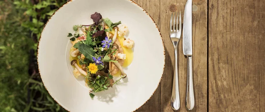 Gourmet dish with herbs and edible flowers on a white plate