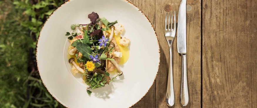 Gourmet dish with herbs and edible flowers on a white plate