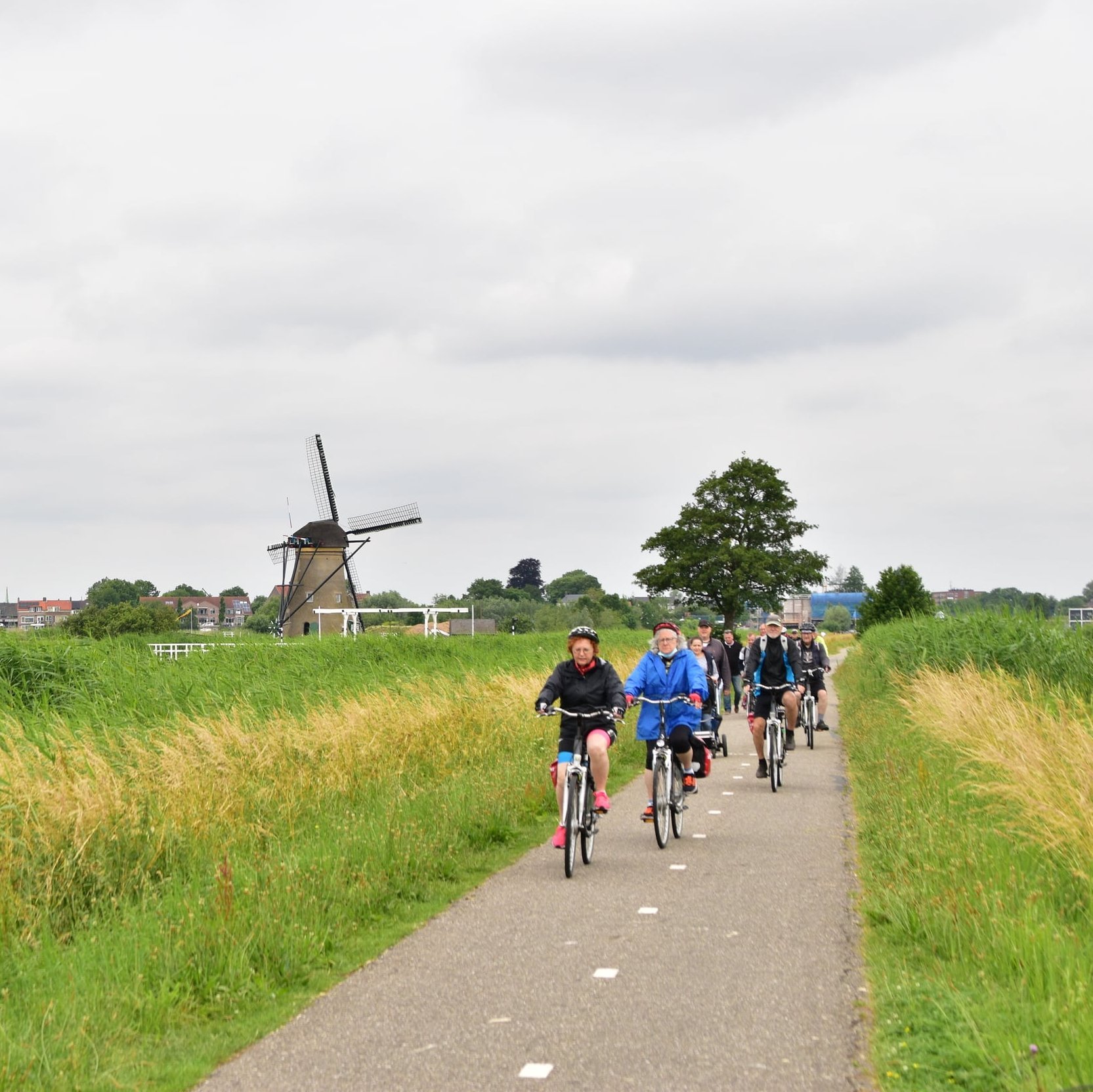 Gruppe von Radfahrern auf einem Landweg mit Windmühlen und grünen Feldern