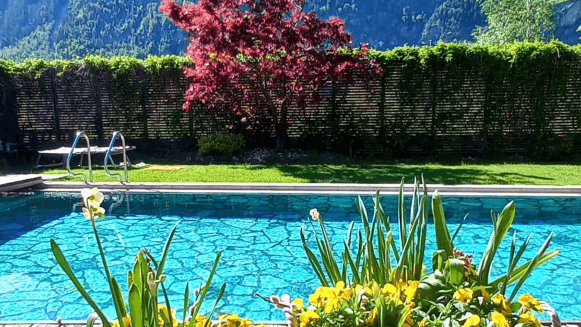 Two baskets with yellow flowers by a pool with mountains in the background