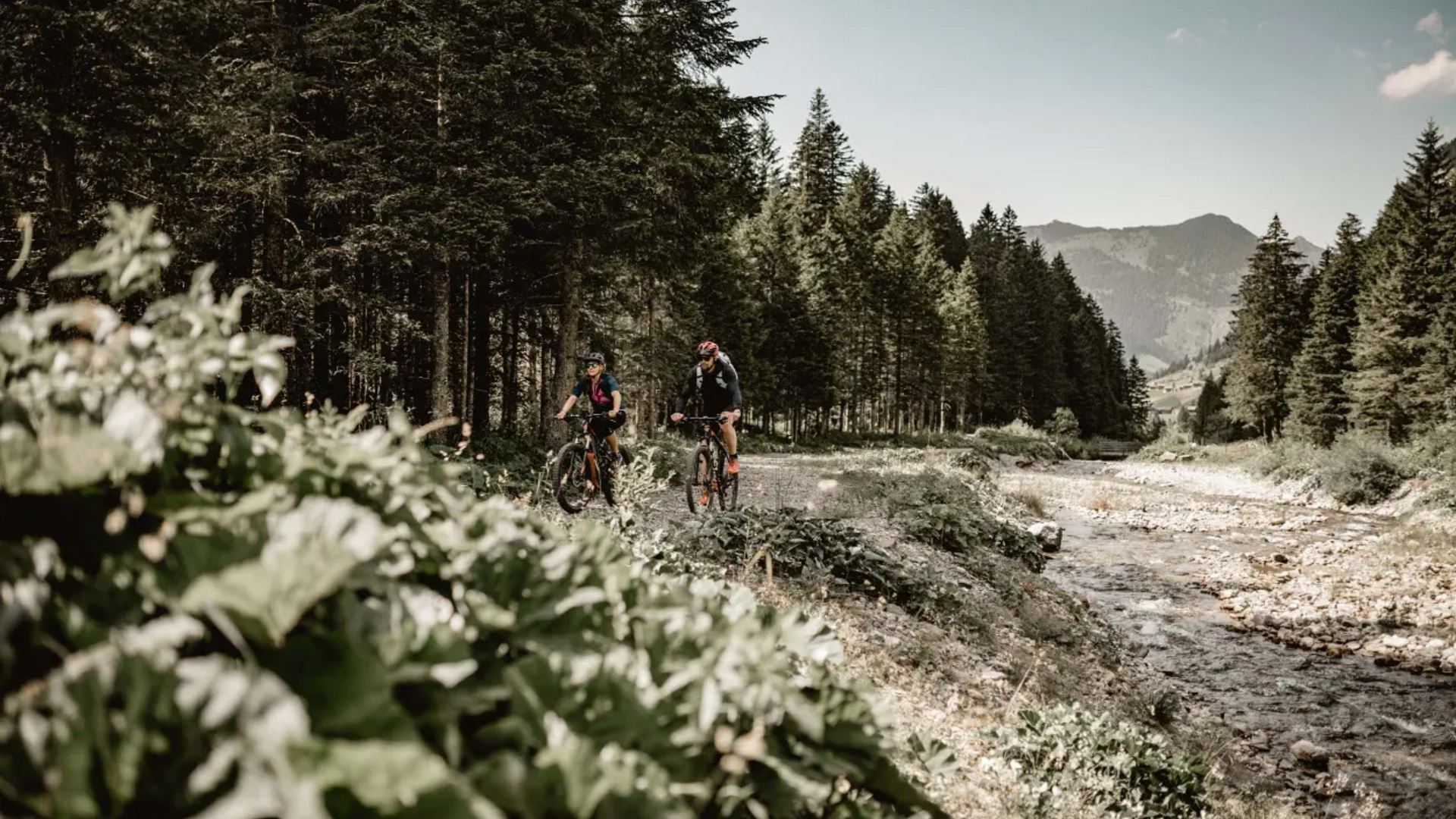 Two cyclists riding on a forest trail beside a river with mountains in the background