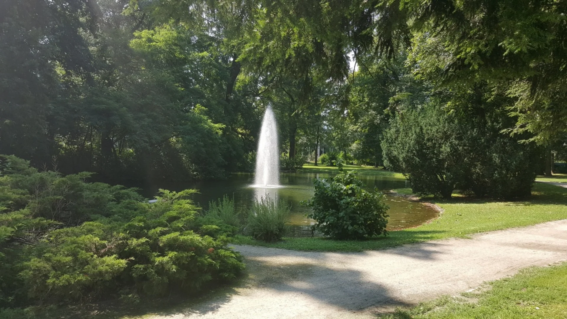 Park met vijver en fontein omringd door groene bomen op een zonnige dag
