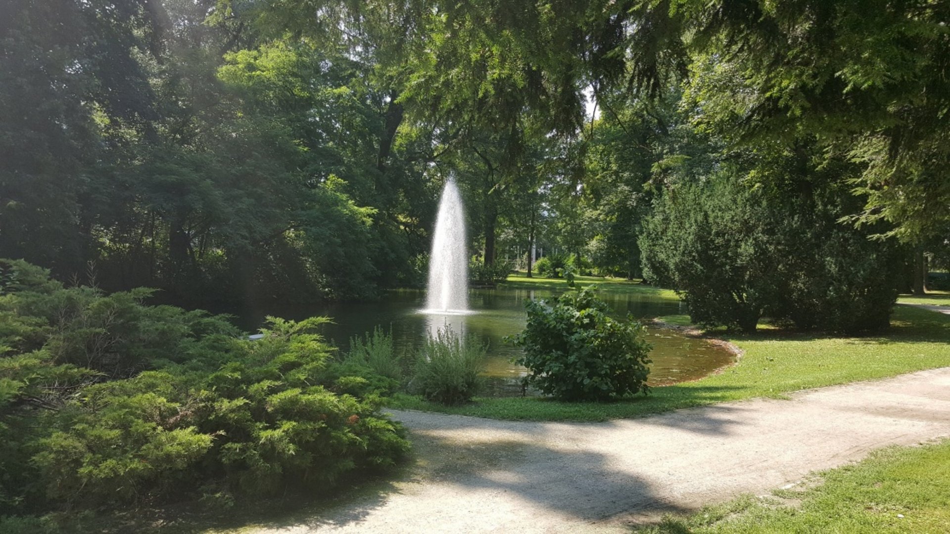 Park with pond and fountain surrounded by green trees on a sunny day