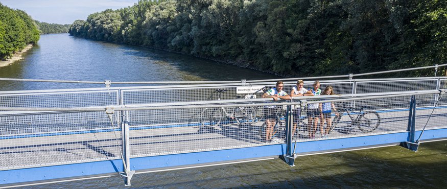 Fahrradfahrer auf einer blauen Brücke über einen Fluss mit Bäumen am Ufer