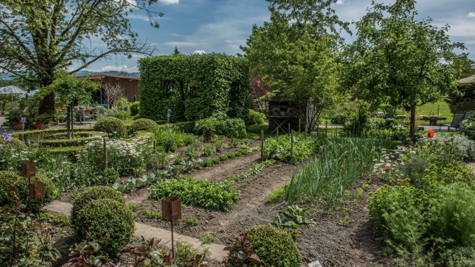 Goed onderhouden tuin met groentebedden, bloemen en groene struiken onder een blauwe lucht