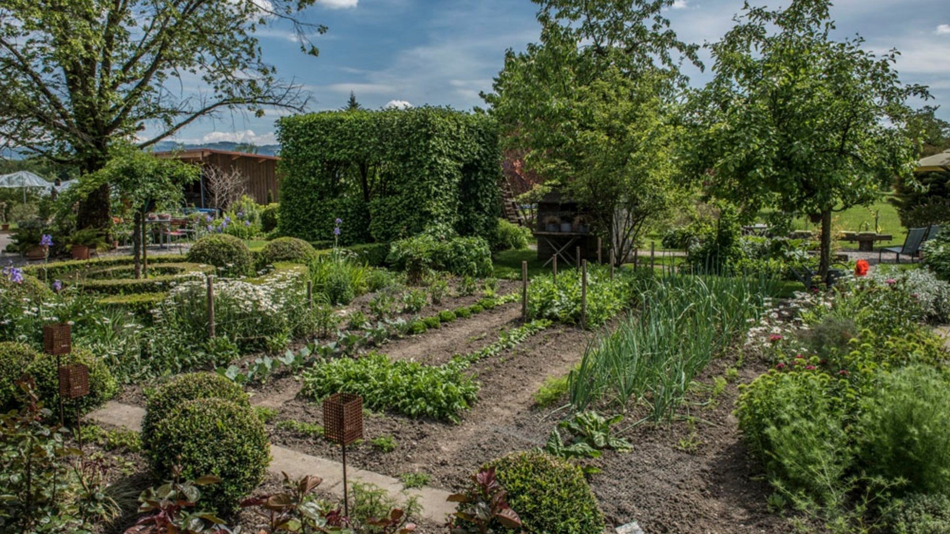Well-maintained garden with vegetable beds, flowers, and green bushes under blue sky