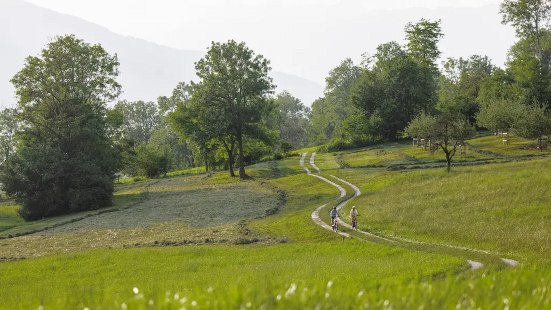 Two cyclists on a narrow path through green meadows and trees