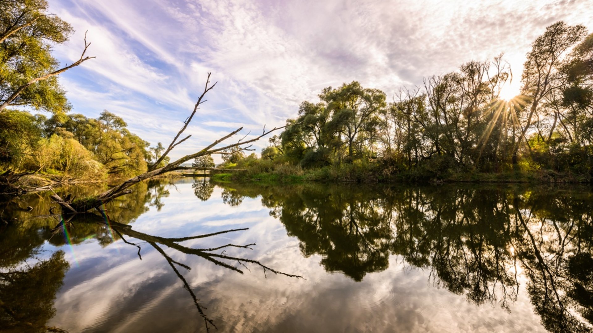 River with trees and blue sky, reflection in water with sunlight