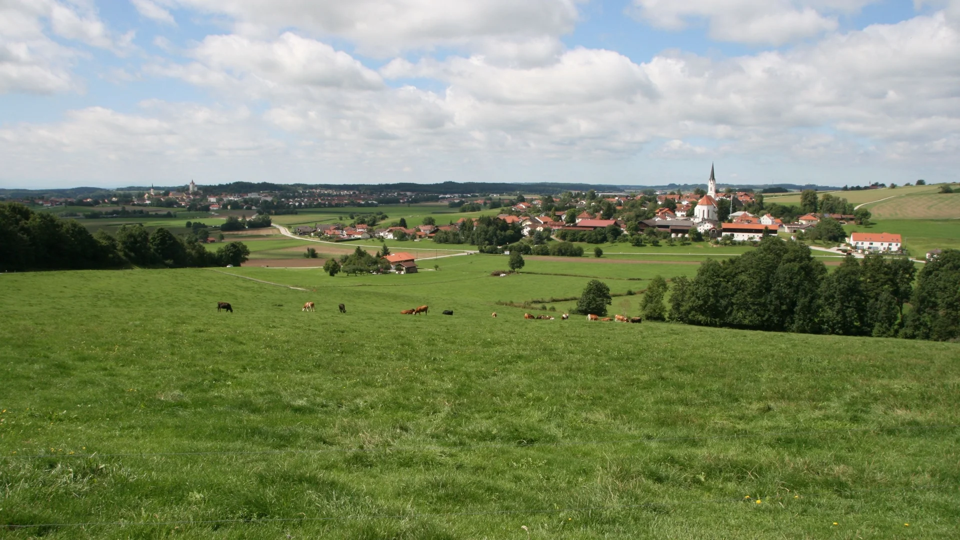 Grüne Weide mit weidenden Kühen und Dorf mit Kirche im Hintergrund unter bewölktem Himmel
