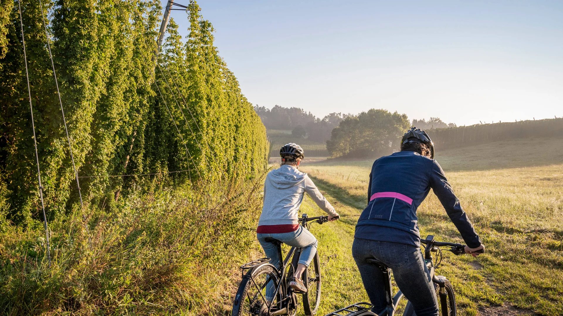 Hopfenschleife © Tourismus Oberbayern München e.V. - Peter von Felbert Zwei Radfahrer auf einem Weg entlang grüner Felder bei Sonnenaufgang