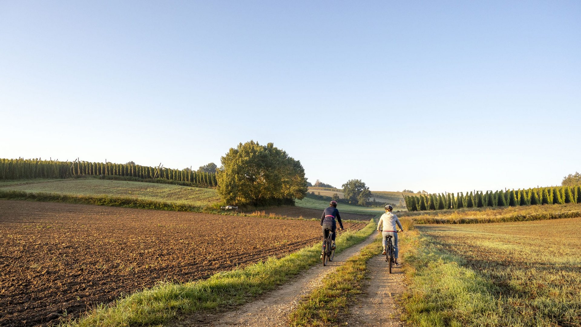 Two cyclists riding on a dirt path through fields under a clear sky