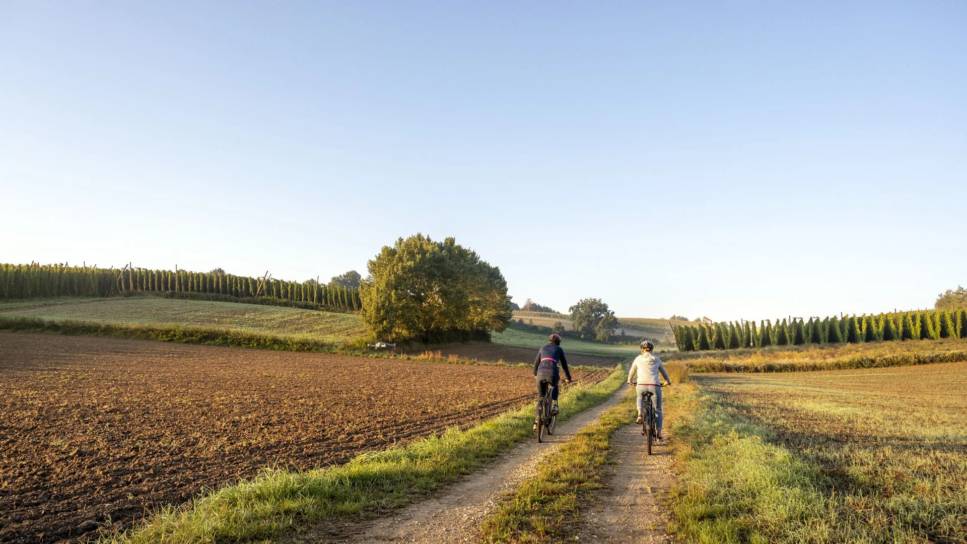 Twee fietsers op een landweg tussen velden onder een heldere lucht