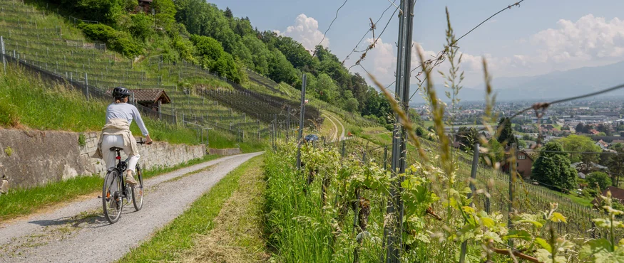 Fahrradfahrerin auf einem Weg durch grüne Weinberge mit Stadtblick im Tal