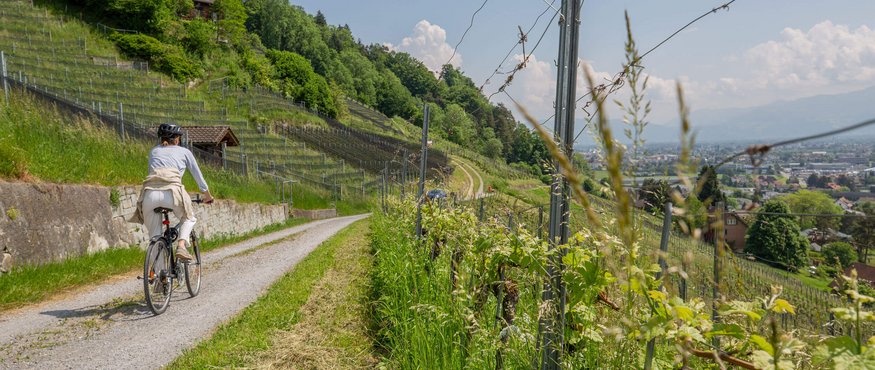 Fahrradfahrerin auf einem Weg durch grüne Weinberge mit Stadtblick im Tal