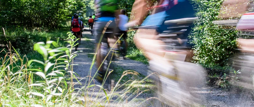 Anthering: Radurlaub zwischen Moor & Mozartstadt © Richard Payr Verschwommene Radfahrer fahren auf einem Waldweg bei Sonnenschein