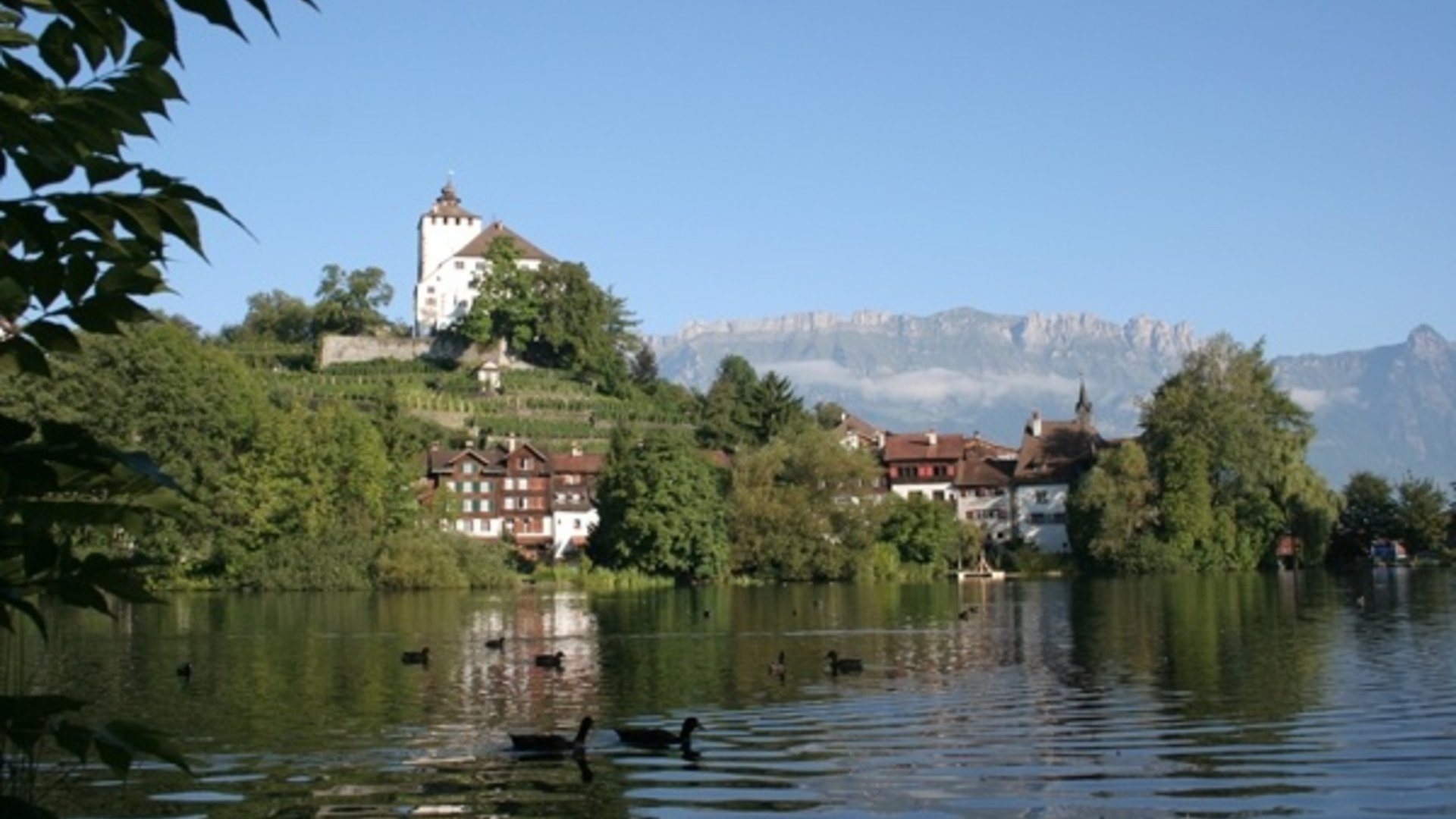 Castle on green hill by lake with mountains in the background