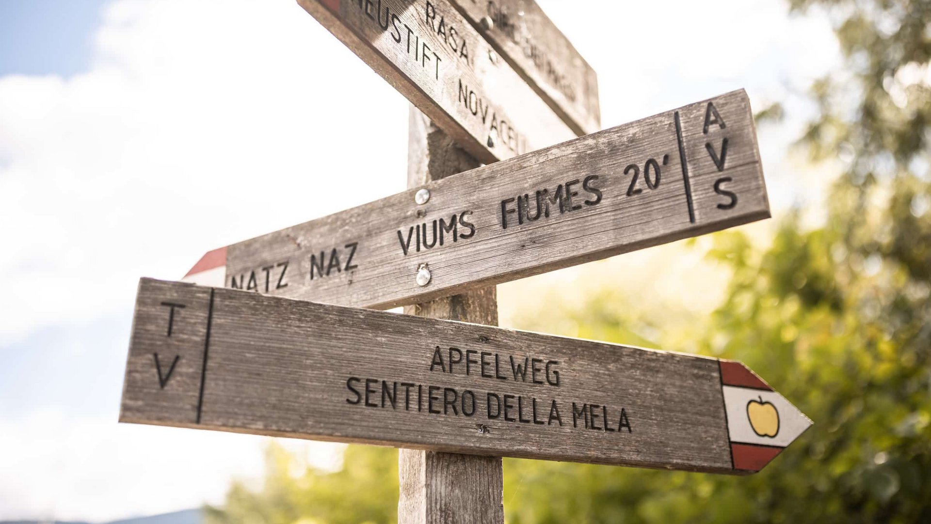 Wooden signpost with destinations and apple trail symbol in sunny weather