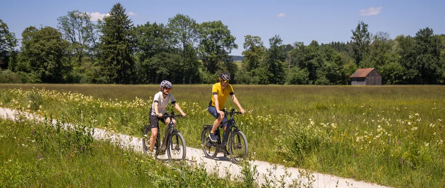 Herbstgenuss im Salzburger Seenland © Heiko Mandl Zwei Radfahrer fahren auf einem Feldweg durch eine grüne Wiese bei Sonnenschein