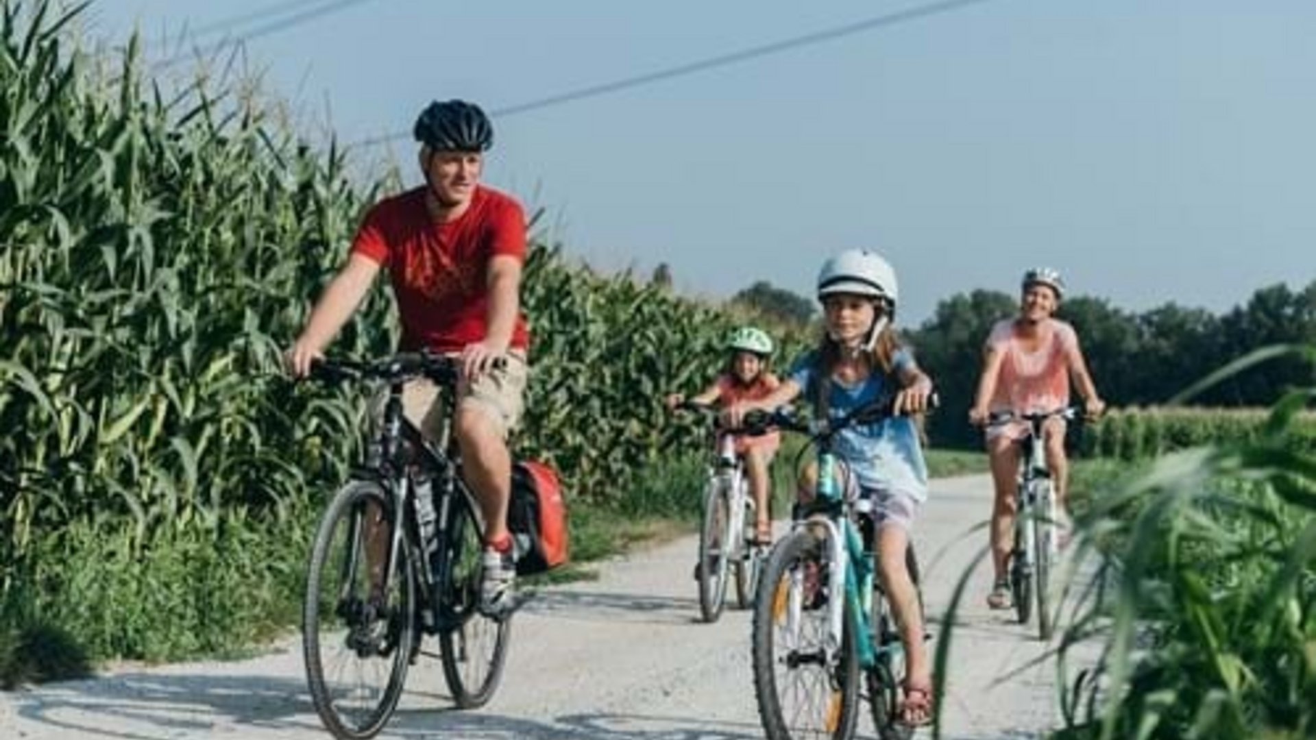 Family cycling on a rural path alongside cornfields on a sunny day