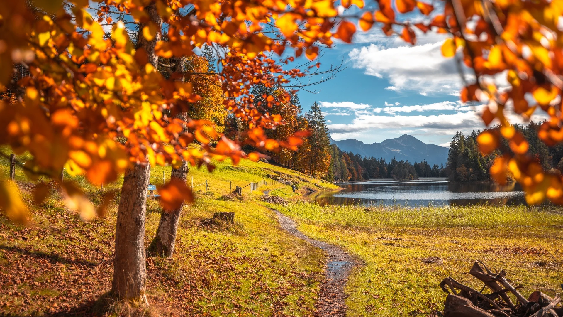 Herfstpad langs meer met gekleurde bladeren en bergen op de achtergrond