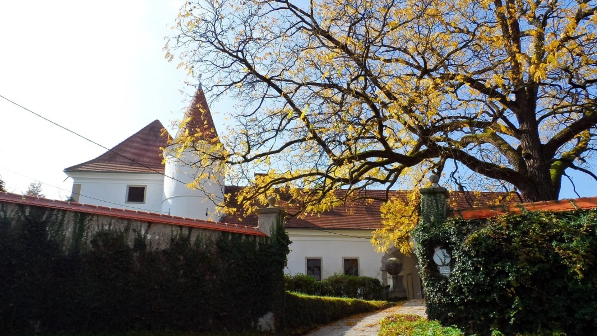 Tour-Detail Herbstlicher Baum mit gelben Blättern vor einem Gebäude mit rotem Dach