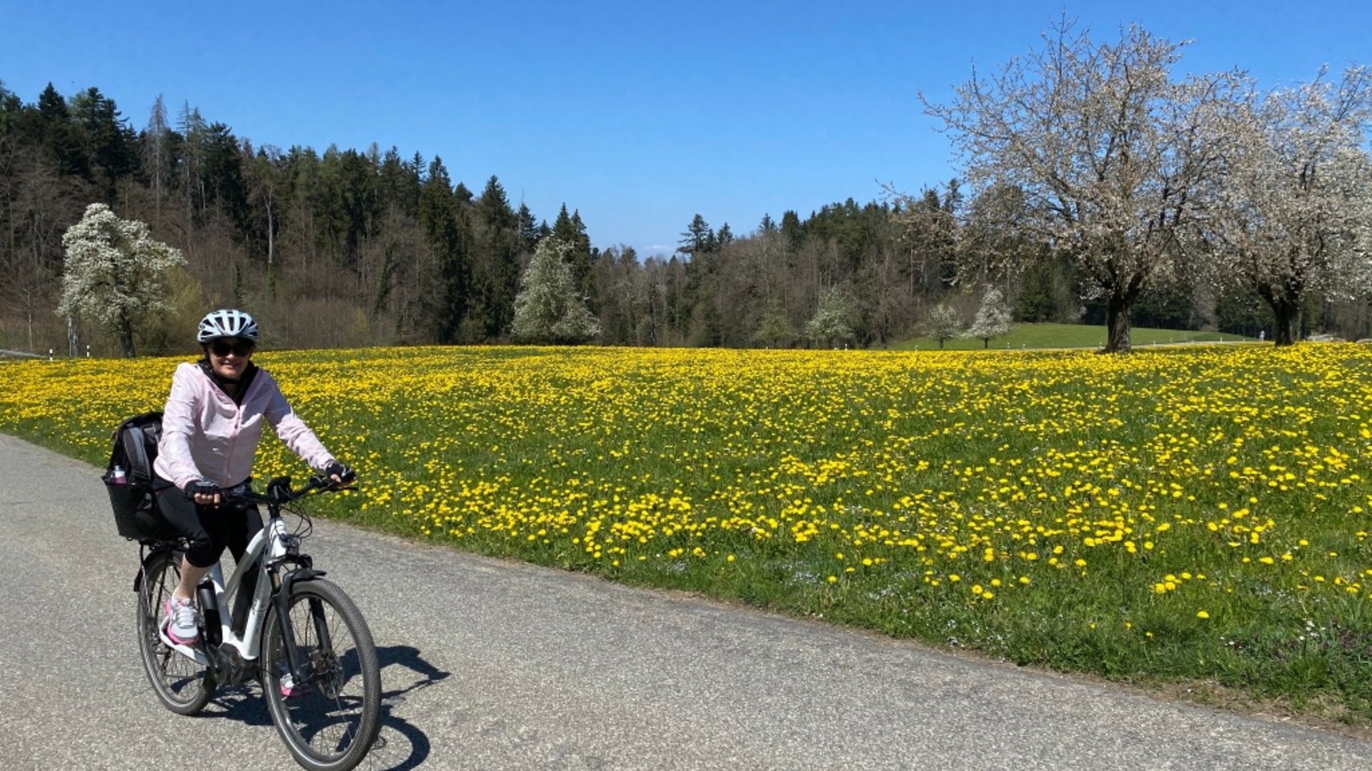 Woman cycling on rural road next to blooming dandelion field