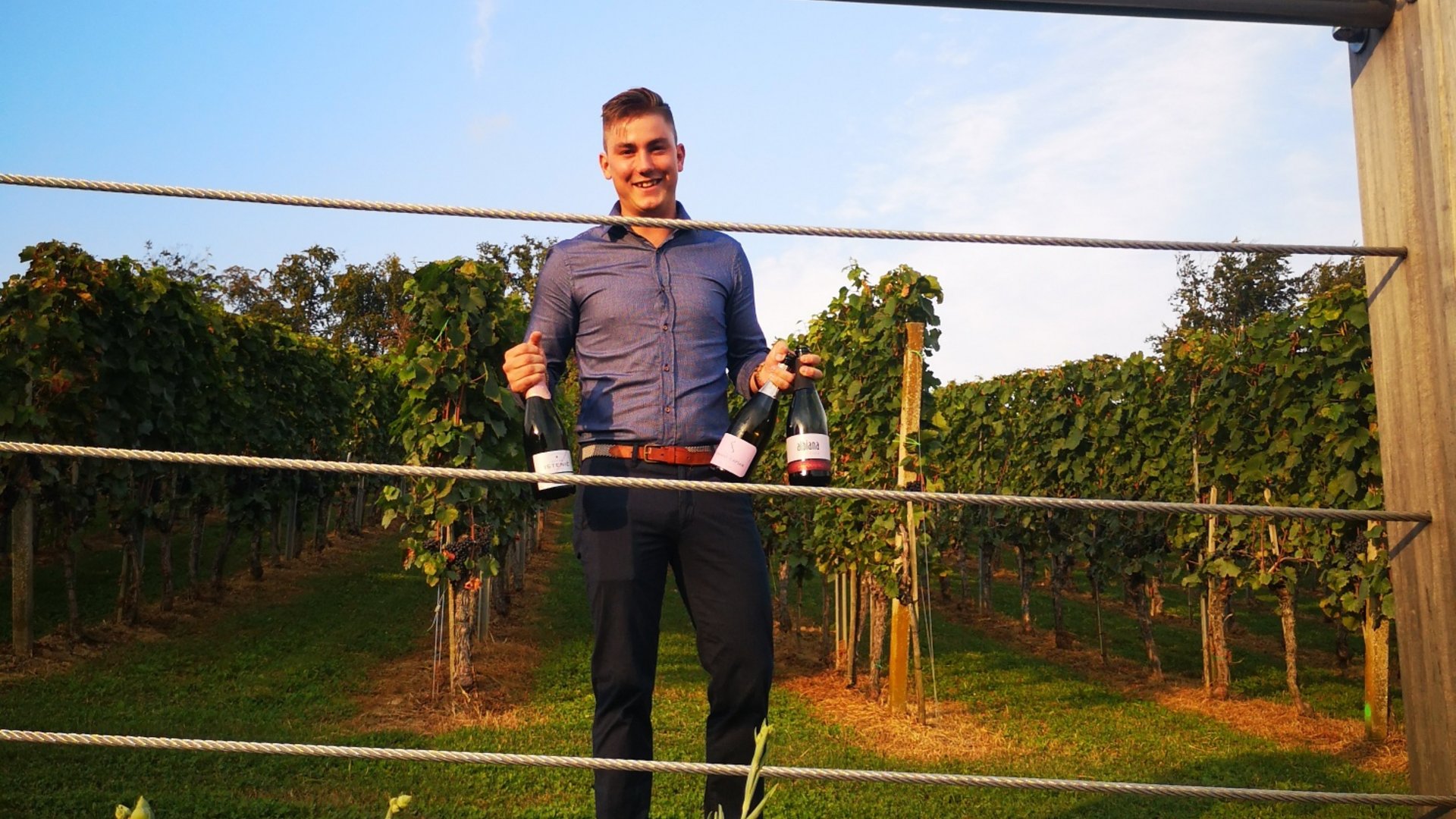 Young man in vineyard holding three wine bottles among vines and flowers