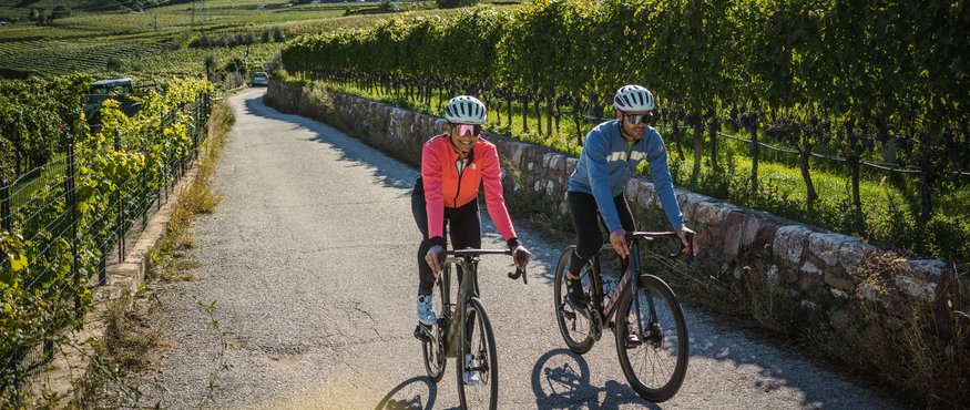 Two cyclists riding on a country road beside a vineyard on a sunny day