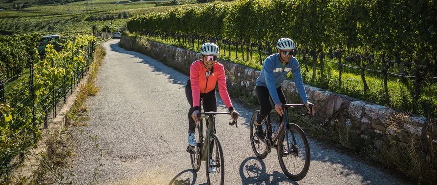 Two cyclists riding on a country road beside a vineyard on a sunny day