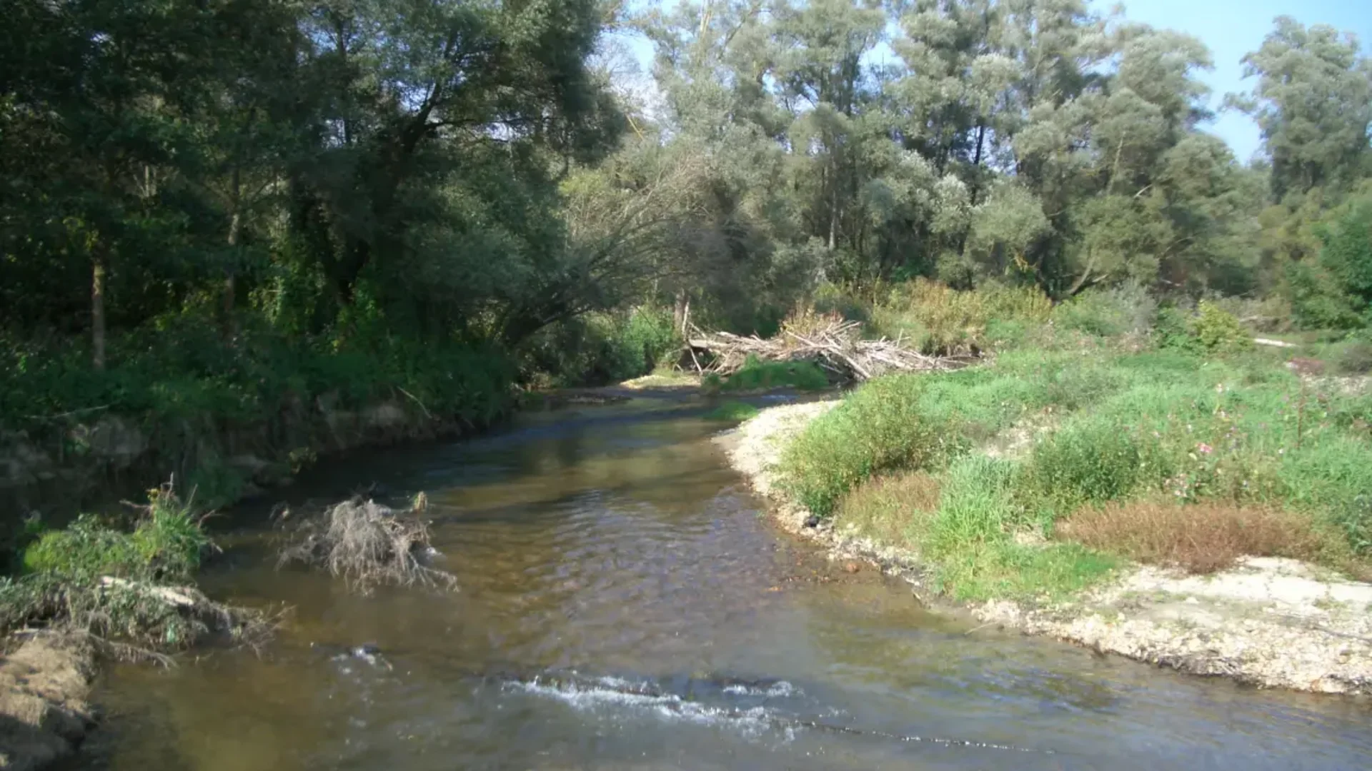 Kleiner Fluss mit Bäumen und grünem Ufer unter blauem Himmel