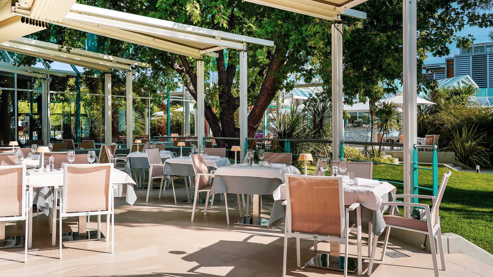 Cozy restaurant terrace with set tables under trees in daylight
