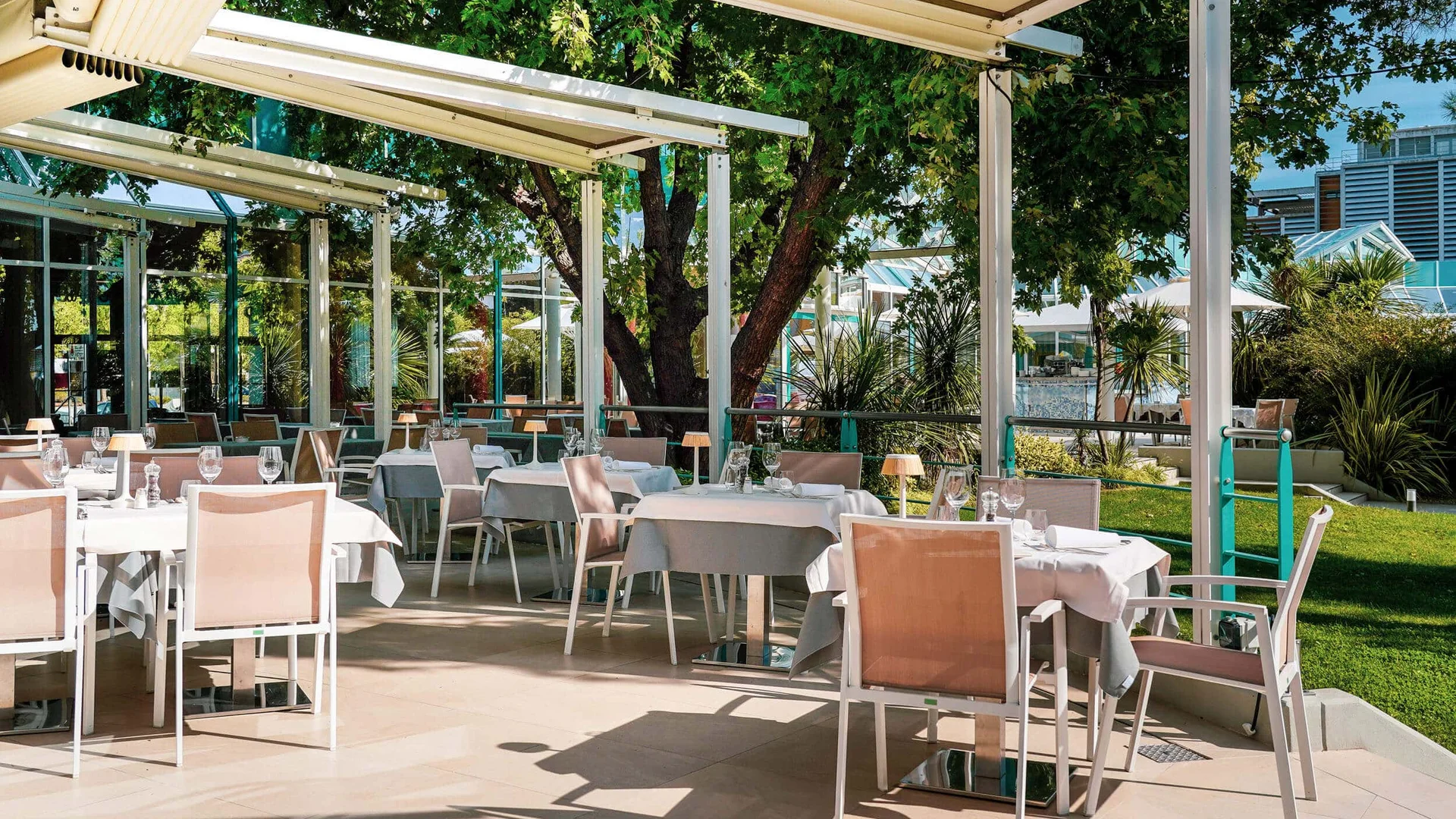 Cozy restaurant terrace with set tables under trees in daylight