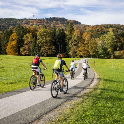 Maunzteufltour © Heiko Mandl Vier Radfahrer fahren auf einer Landstraße durch eine grüne und herbstliche Landschaft