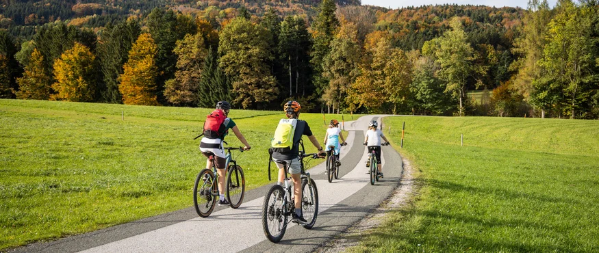 Anthering: Radurlaub zwischen Moor & Mozartstadt © Heiko Mandl Vier Radfahrer fahren auf einer Landstraße durch eine grüne und herbstliche Landschaft