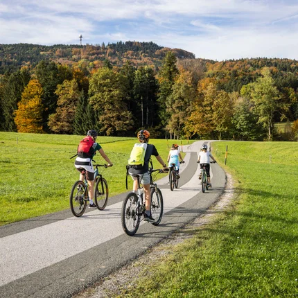 Vier fietsers rijden op een landweg door groen en herfstlandschap