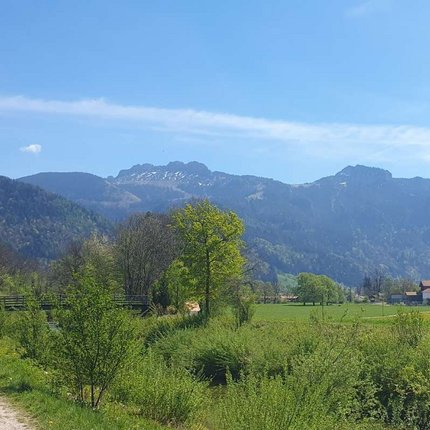 Cyclist on path in green landscape with mountains under clear sky
