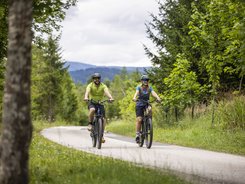 Two cyclists riding on a rural road through a green forest