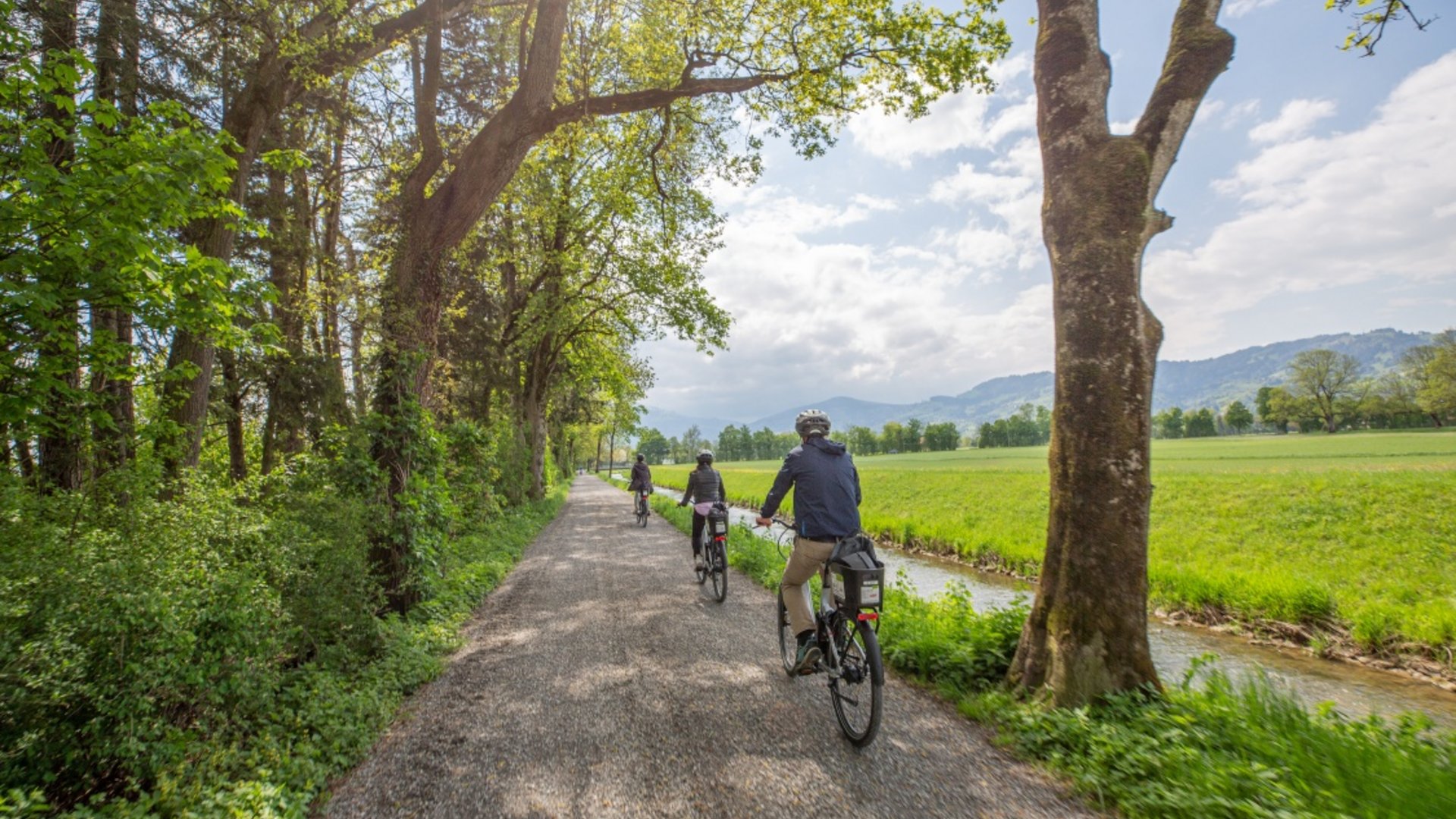 Drie mensen fietsen op een schaduwrijk bospad langs een beek