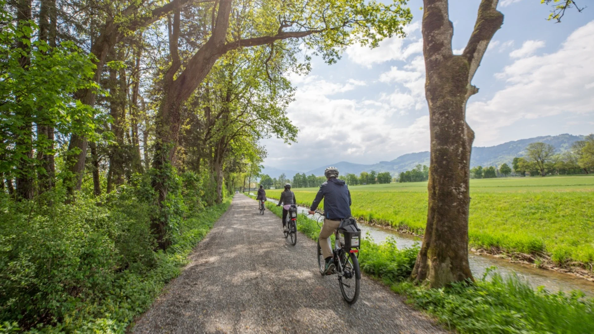 Drei Personen fahren auf einem schattigen Waldweg mit Fahrrädern